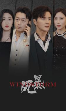 风暴(77集) 风暴(77集)不用花钱看全剧