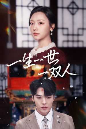一生一世一双人(42集) 一生一世一双人(42集)评价怎么样
