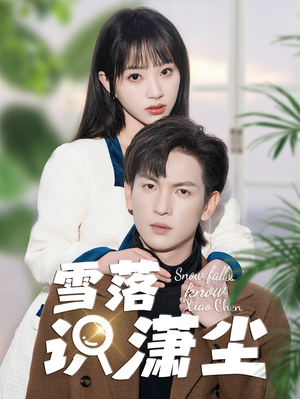 雪落识潇尘(80集) 雪落识潇尘(80集)全集一网打尽