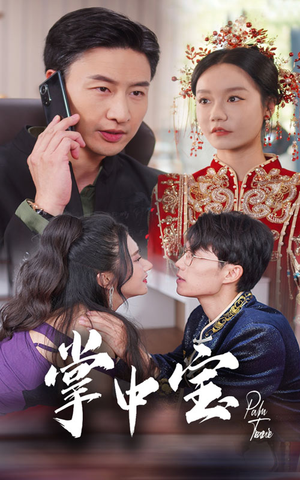 掌中宝(31集) 掌中宝(31集)精彩短剧又来了