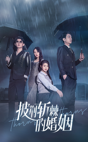 披荆斩棘的婚姻(70集) 披荆斩棘的婚姻(70集)在线看完整版