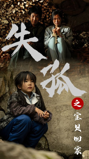 失孤之宝贝回家(71集) 失孤之宝贝回家(71集)无需会员免费看