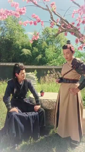 精忠报国(41集) 精忠报国(41集)短剧上头又好看