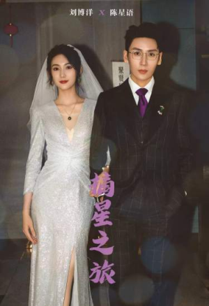 摘星之旅(88集) 摘星之旅(88集)热门短剧来袭