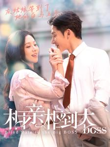 相亲相到大boss(101集) 相亲相到大boss(101集)热门短剧在线看