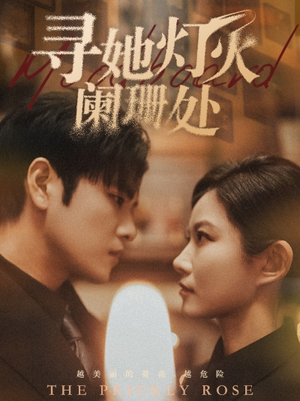 寻她灯火阑珊处(61集) 寻她灯火阑珊处(61集)演员表