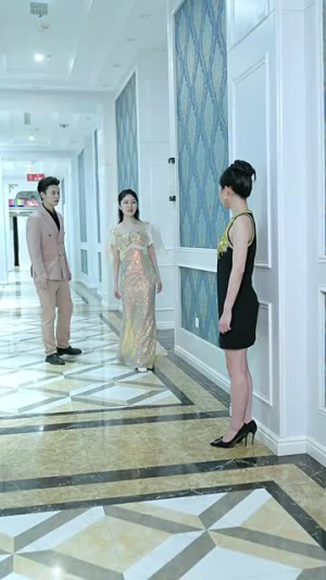 大嫂华丽归来(72集) 大嫂华丽归来(72集)短剧在线更新