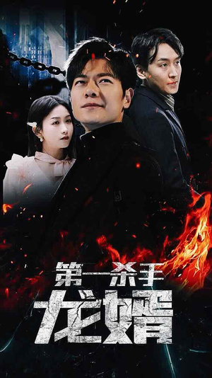 第一杀手龙婿(100集) 第一杀手龙婿(100集)解说