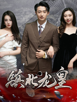 镇北龙帅(97集) 镇北龙帅(97集)演员表