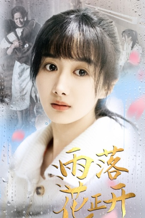 雨落花正开(62集) 雨落花正开(62集)免费看全集