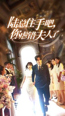 陆总住手吧,你虐错夫人了(80集) 陆总住手吧,你虐错夫人了(80集)推荐好短剧