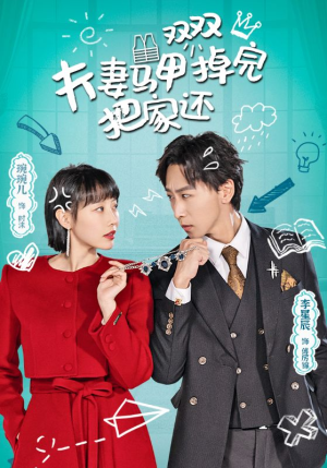 夫妻马甲双双掉完把家还（93集）我全都看完了