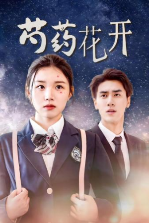 火光中的芍药花(77集) 火光中的芍药花(77集)大结局太过瘾了