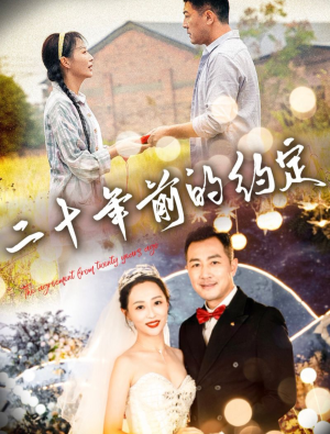 二十年前的约定(57集) 二十年前的约定(57集)短剧热门合集