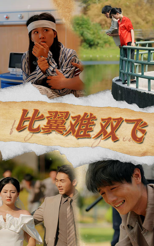 比翼难双飞(30集) 比翼难双飞(30集)短剧热门分享
