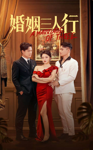 婚姻三人行(31集) 婚姻三人行(31集)在线看完整版