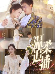 温柔追捕(89集) 温柔追捕(89集)全部免费看全集