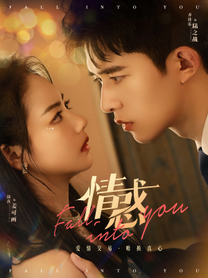 情惑(80集) 情惑(80集)哪个网站可以看