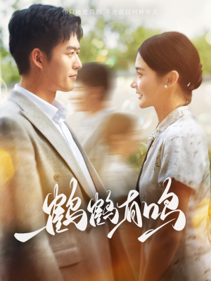 鹤鹤有鸣(87集) 鹤鹤有鸣(87集)全集