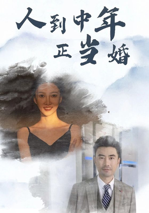 人到中年正当婚(81集) 人到中年正当婚(81集)好看的短剧电影
