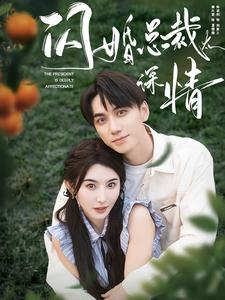 闪婚总裁太深情(93集) 闪婚总裁太深情(93集)评价怎么样