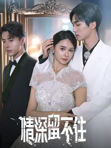 情深留不住(80集) 情深留不住(80集)免费看全网短剧