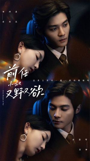 前任小叔又野又欲(77集) 前任小叔又野又欲(77集)解说