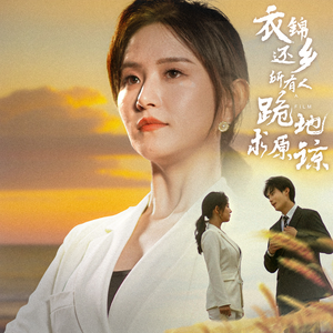 衣锦还乡,所有人跪地求原谅(40集) 衣锦还乡,所有人跪地求原谅(40集)红果短剧免费看