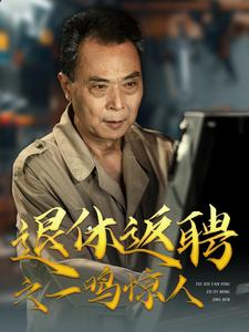 退休返聘之一鸣惊人(65集) 退休返聘之一鸣惊人(65集)看过的人都说好