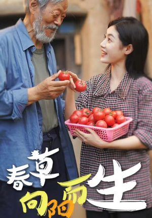 春草向阳而生(53集) 春草向阳而生(53集)短剧全集抢先看