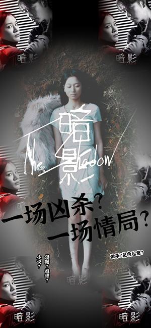 暗影(50集) 暗影(50集)全集都在这里了