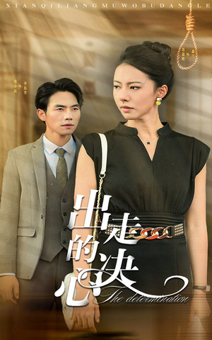 出走的决心（29集）在哪里看