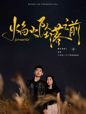 焰火坠落之前(99集) 焰火坠落之前(99集)精彩的短剧