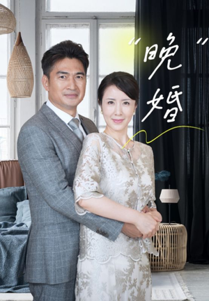 晚婚(65集) 晚婚(65集)全集在线看