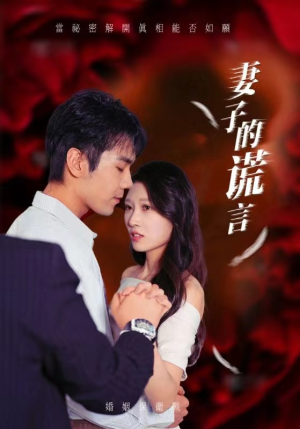 妻子的谎言(41集) 妻子的谎言(41集)免费观看全集