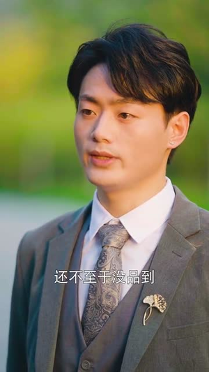 被闪婚老公套路(40集) 被闪婚老公套路(40集)集免费看短剧