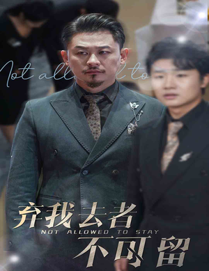 弃我去者不可留（60集）全剧看到大结局