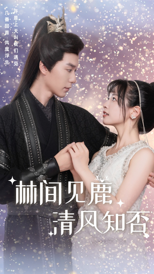 林间见鹿清风知否(62集) 林间见鹿清风知否(62集)解说