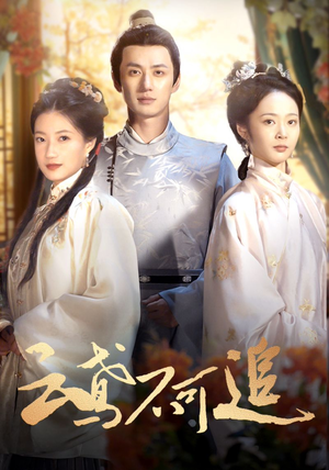 云鸢不可追(42集) 云鸢不可追(42集)全集免费看短剧