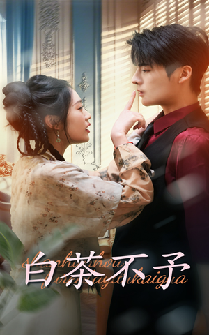 白茶不予(68集) 白茶不予(68集)爆款短剧推荐