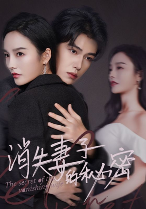 消失妻子的秘密(60) 消失妻子的秘密(60)集免费看短剧
