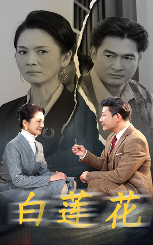 白莲花(40集) 白莲花(40集)好看短剧分享