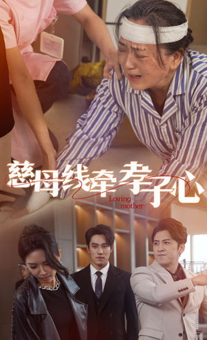 慈母线牵孝子心(60集) 慈母线牵孝子心(60集)百度网盘资源