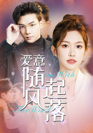 爱意随风起落（36集）演的怎么样