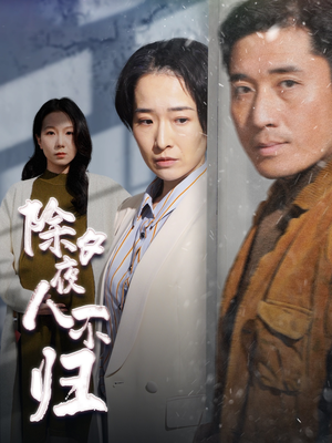 除夕夜人不归(47集) 除夕夜人不归(47集)热播短剧分享