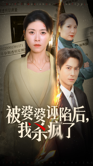 被婆婆诬陷后我杀疯了(30集) 被婆婆诬陷后我杀疯了(30集)在线观看全集