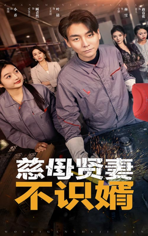 慈母贤妻不识婿(45集) 慈母贤妻不识婿(45集)一起追短剧