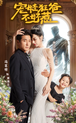 宠娃狂爸不好惹(65集) 宠娃狂爸不好惹(65集)百度网盘资源