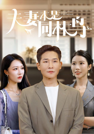 夫妻本是同林鸟(76集) 夫妻本是同林鸟(76集)每日分享短剧