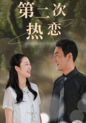 第二次热恋(48集) 第二次热恋(48集)短剧热门推荐